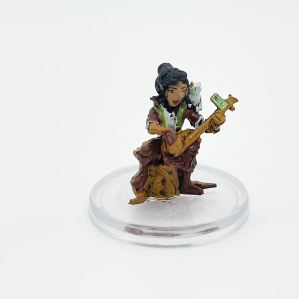 D&D Icons Realms Wild Beyond Witchlight Tumblestrum & Groak #39